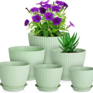 Flower Pots