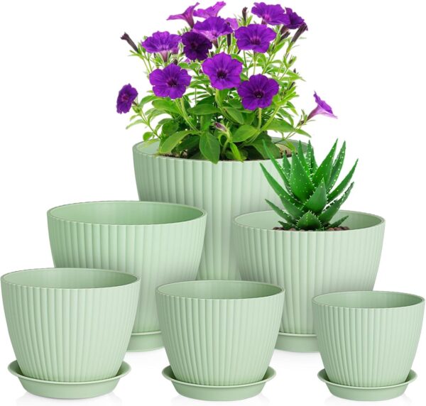 Flower Pots