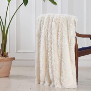 Decorative Extra Soft Fuzzy Faux Fur Throw Blanket 50" x 60"