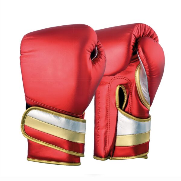 Boxing Gloves – Training and Competition Gear