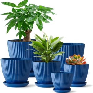 Plant Pots 6 Pack