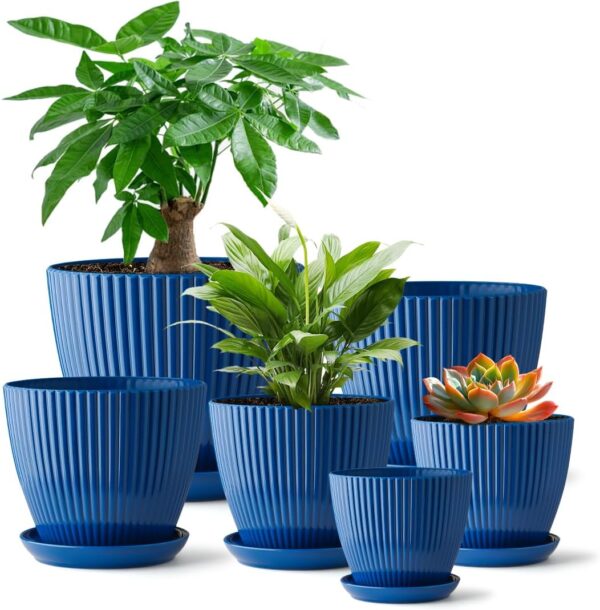 Plant Pots 6 Pack