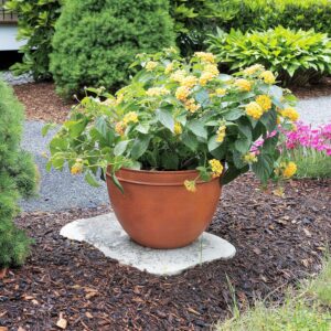 Planter