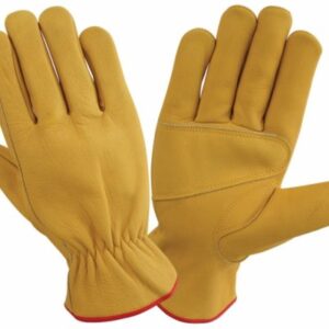 Driving Gloves