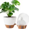 2 Pack 10 inch Plant Pots