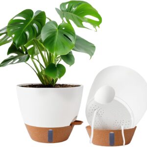 2 Pack 10 inch Plant Pots