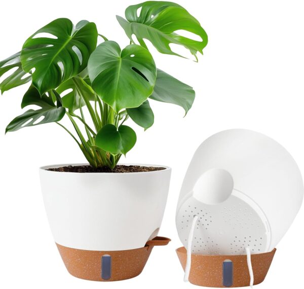2 Pack 10 inch Plant Pots